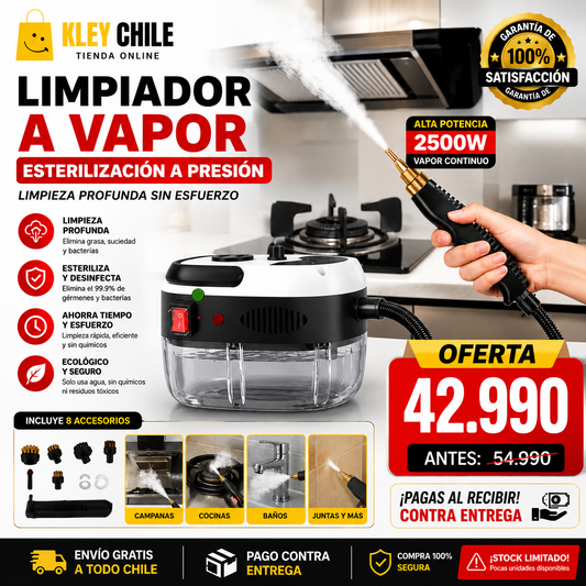Limpiador A Vapor Presion 2500w Portatil