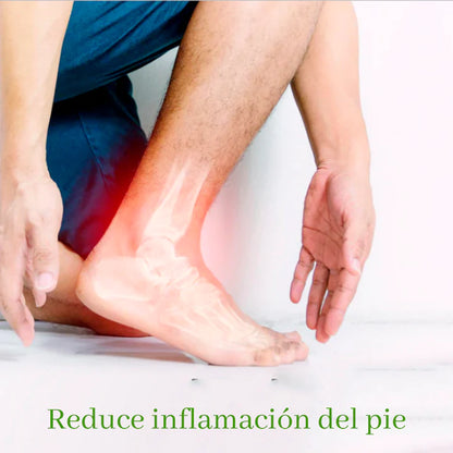 🌱KINOKIS™ Parches Desintoxicantes (Pide 10 y Lleve 20)