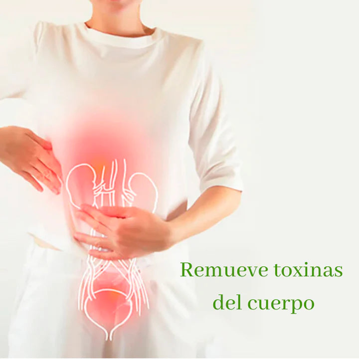 🌱DetoxMax™ Parches Desintoxicantes (Pide 10 y Lleve 20)