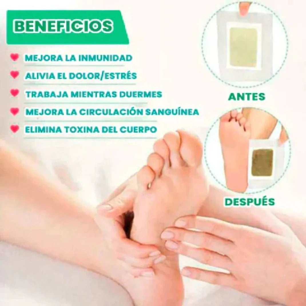 🌱KINOKIS™ Parches Desintoxicantes (Pide 10 y Lleve 20)